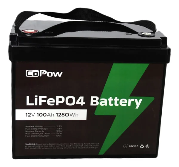 Batería Lifepo4 12v 100Ah